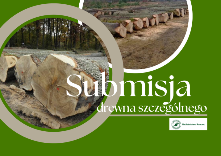 Submisja drewna szczególnego w Nadleśnictwie Runowo