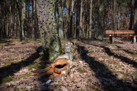 Przygotowania do sezonu turystycznego