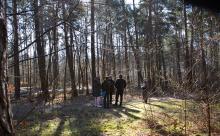 Ścieżka dla zdrowia w lesie