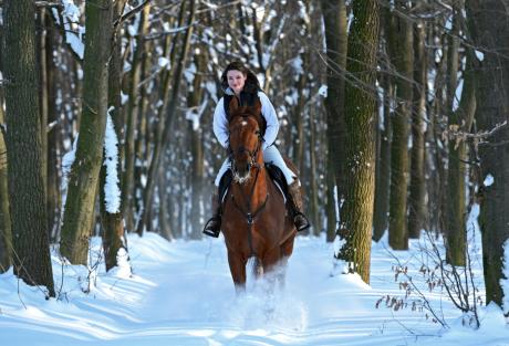 Szlak konny w lesie? Czemu nie?