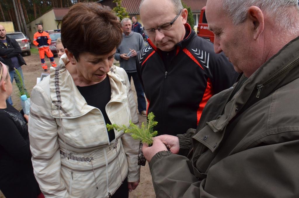 Promocja sadzonki kontenerowej z Nadleśnictwa Dobrzejewice (Fot. Bogusław Kashyna)