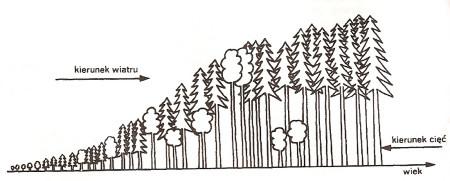 Źródłó: http://jezioro.com.pl/artykuly.html?id=2255