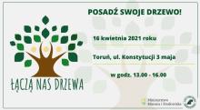 Posadź swoje drzewo w Toruniu!